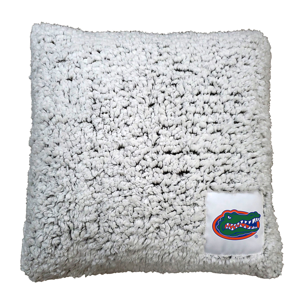 Florida Gators Frosty Throw Pillow