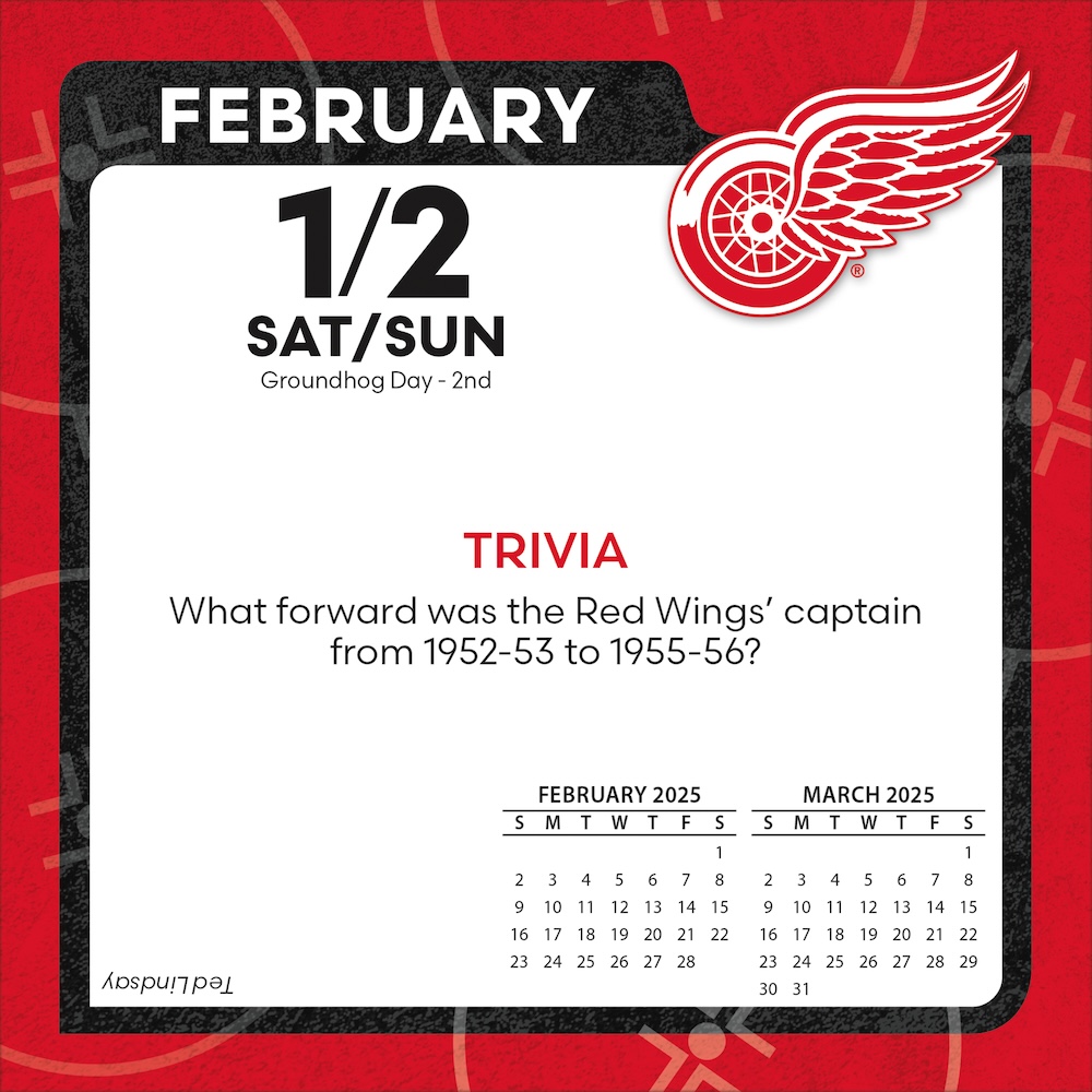 Detroit Red Wings 2026 NHL Page-A-Day Box Calendar