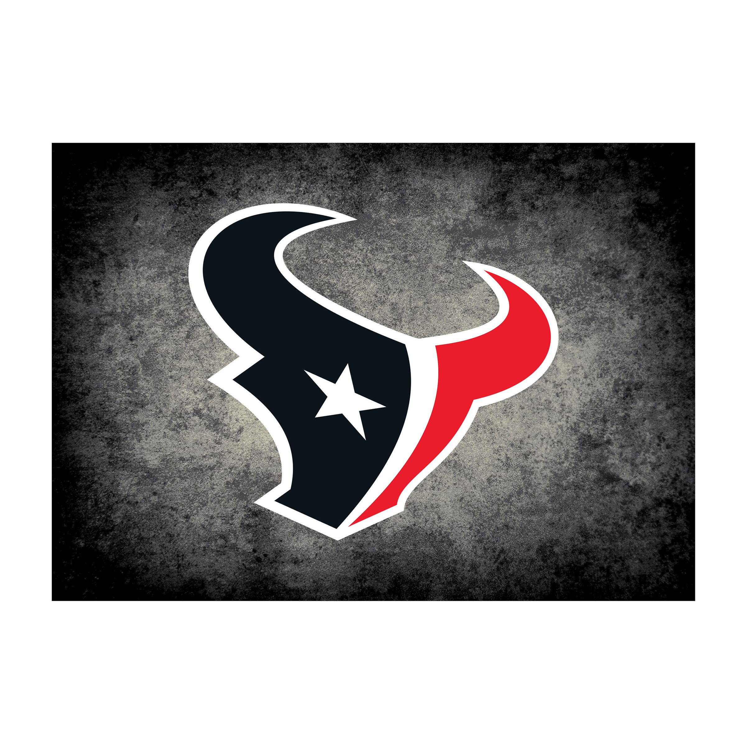 Houston Texans 6 X 8 DISTRESSED Rug