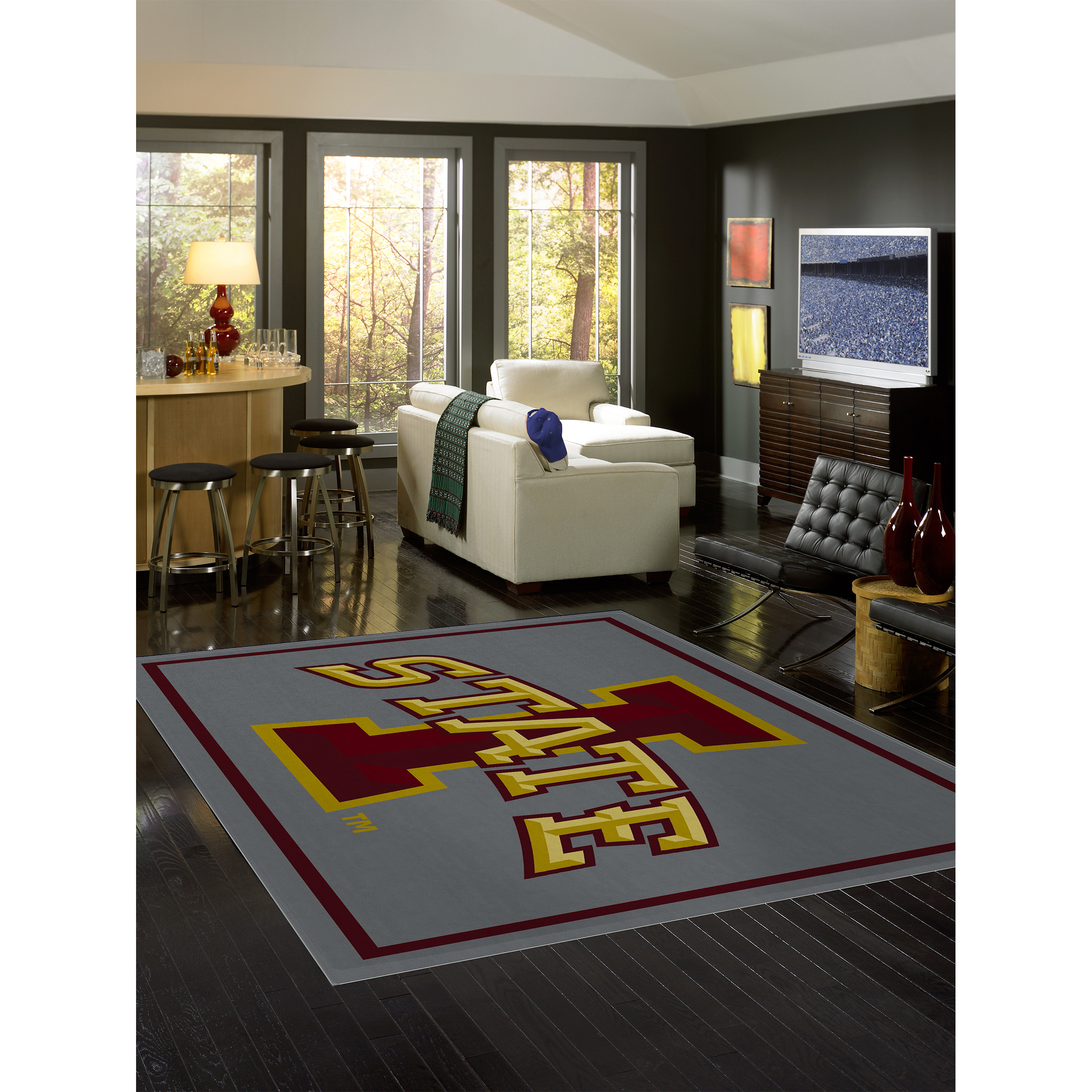 Iowa State Cyclones 8 X 11 SPIRIT Rug