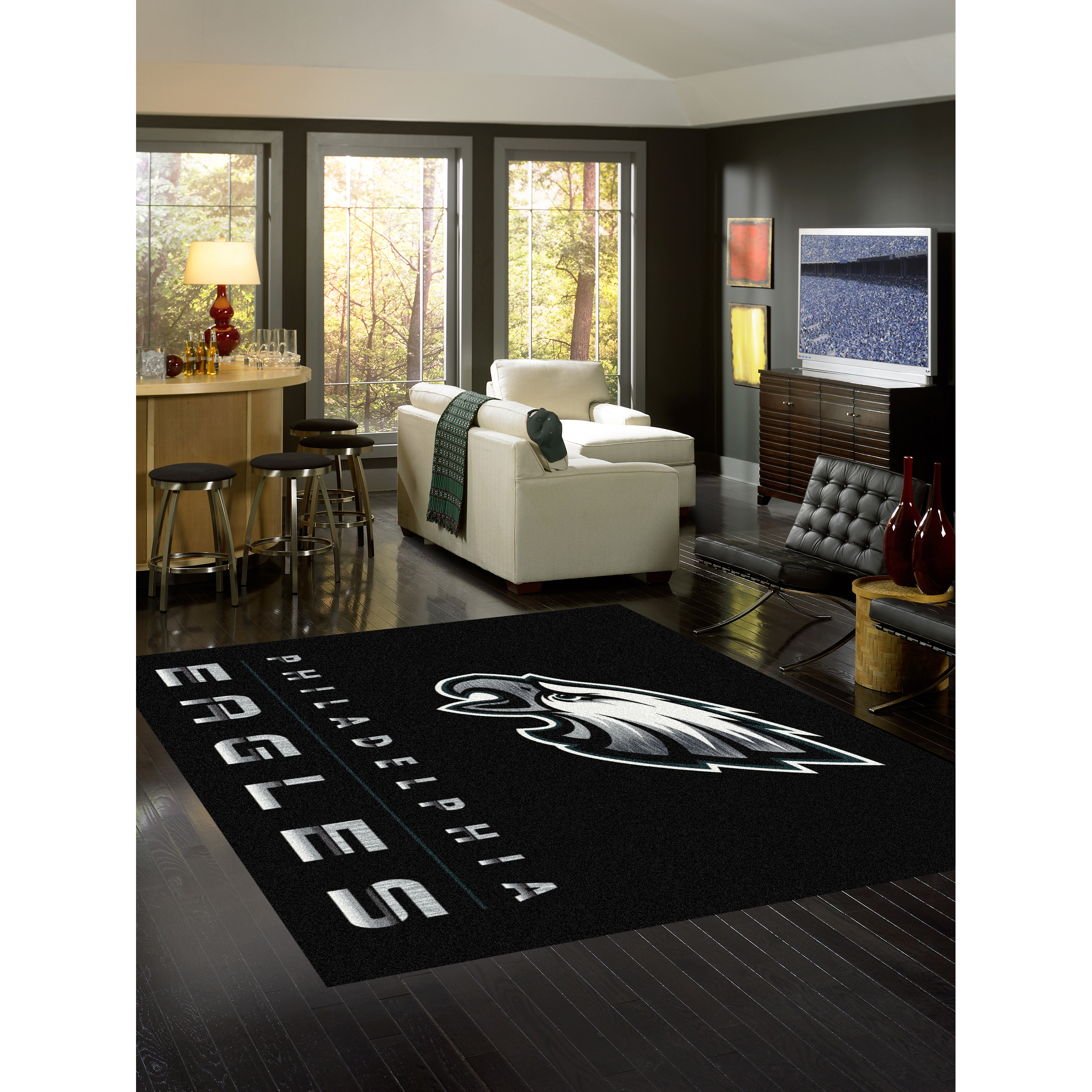 Philadelphia Eagles 8 X 11 CHROME Rug