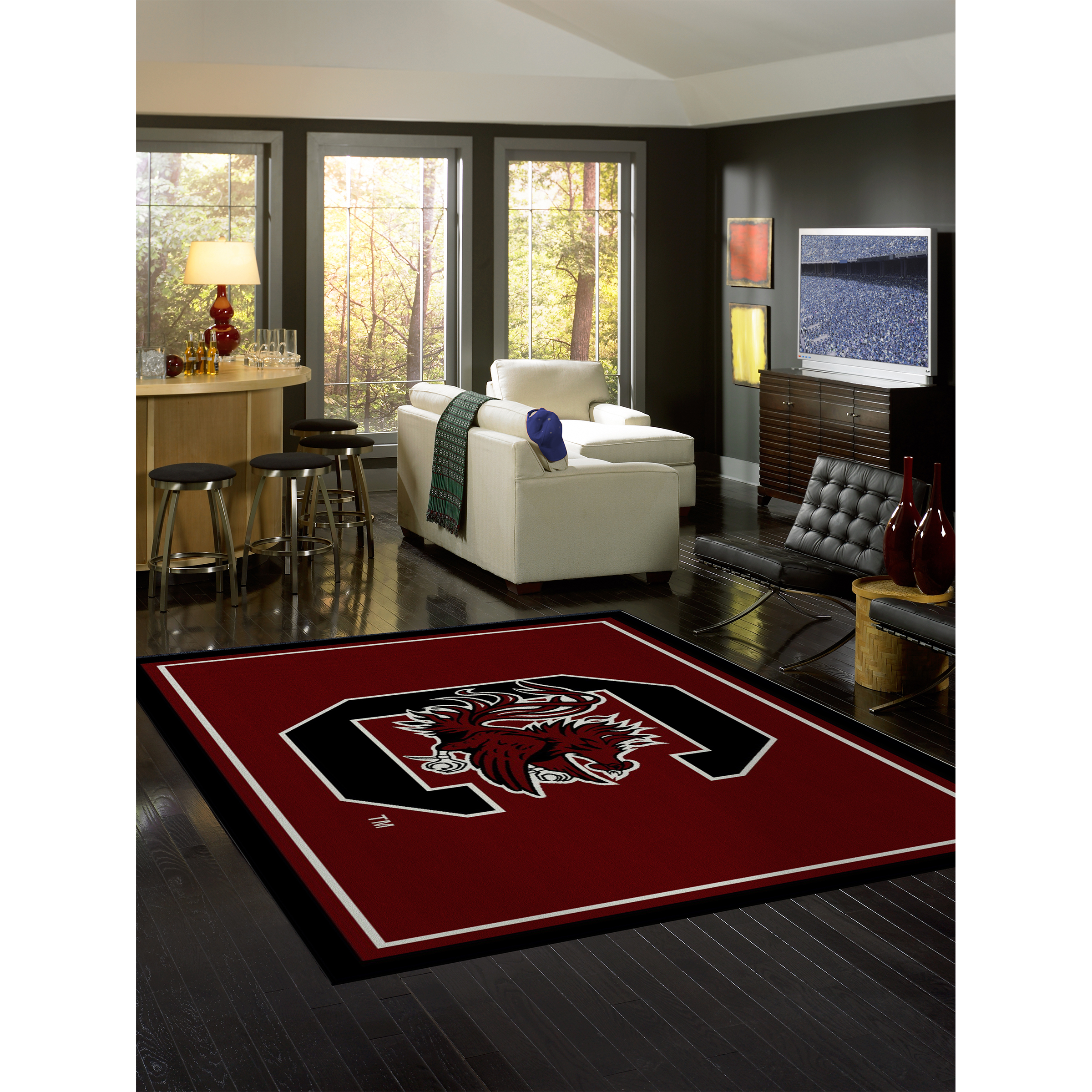 South Carolina Gamecocks 8 X 11 SPIRIT Rug