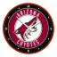 Arizona Coyotes Modern Disc Wall Clock