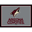 Arizona Coyotes 8 X 11 SPIRIT Rug