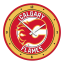 Calgary Flames Modern Disc Wall Clock