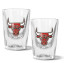 Chicago Bulls 2pc Prism Shot Set