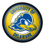 Delaware Blue Hens Modern Disc Wall Sign