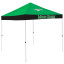 North Texas Mean Green Economy Tailgate Canopy