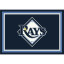 Tampa Bay Rays 4 X 6 SPIRIT Rug