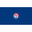 Texas Rangers Billiard Table Cloth