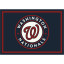 Washington Nationals 4 X 6 SPIRIT Rug